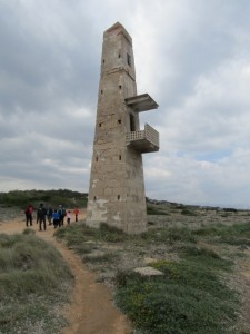 IMG_4927 (Medium)